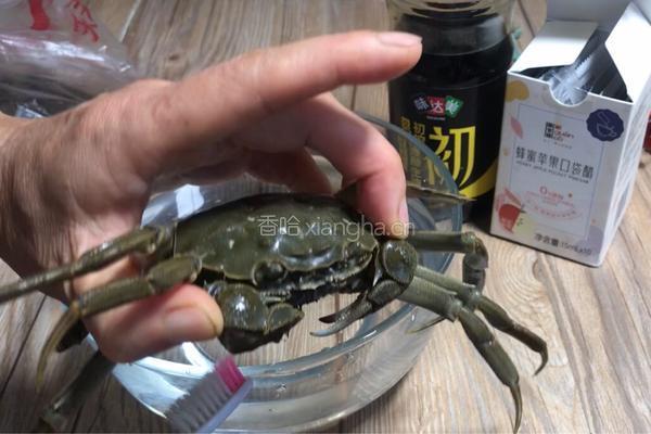 水煮螃蟹的做法图解1