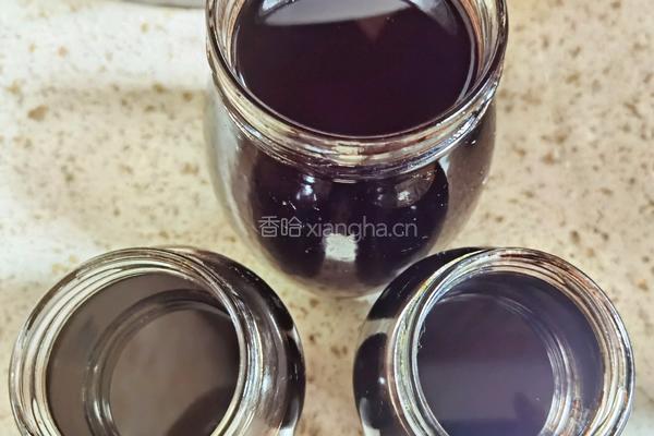 桑椹膏的做法图解6