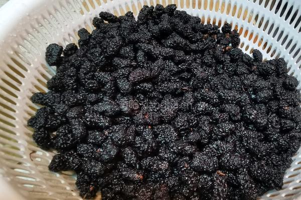 桑椹膏的做法图解1