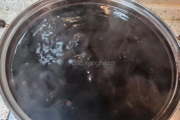 桑椹膏的做法图解3