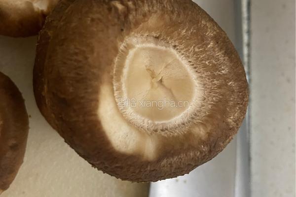 香菇塞肉的做法图解2