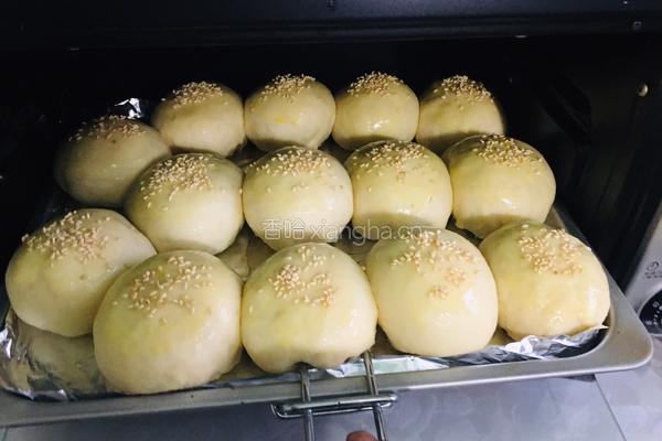 奶香小餐包的做法图解15