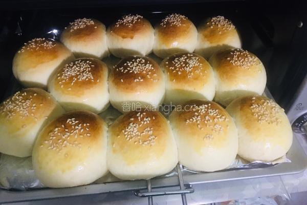 奶香小餐包的做法图解17