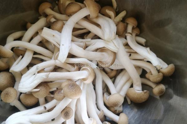 炖鸡煲的做法图解2