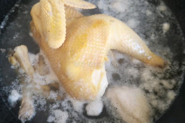 炖鸡煲的做法图解5