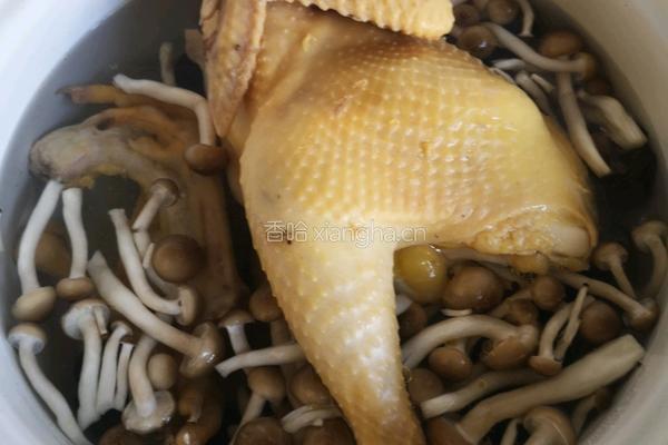 炖鸡煲的做法图解6