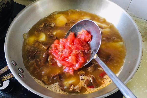 西红柿土豆炖牛肉的做法图解5