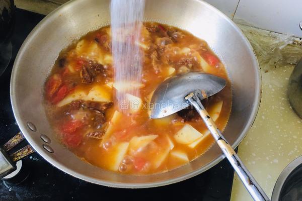 西红柿土豆炖牛肉的做法图解6