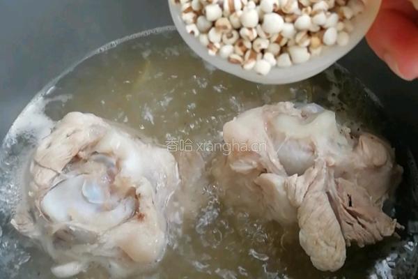 冬瓜薏米大骨汤的做法图解6