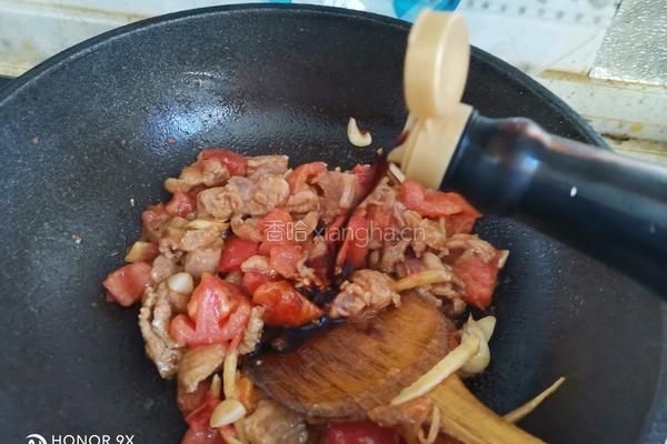 番茄菌菇炖猪肉的做法图解10
