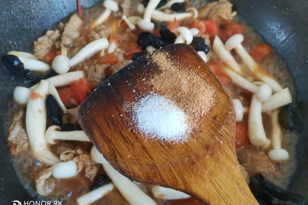 番茄菌菇炖猪肉的做法图解14