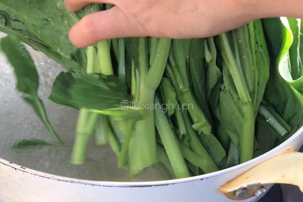 蚝油菜心的做法图解5