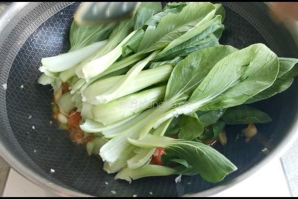 西红柿炒蘑菇油菜的做法图解6