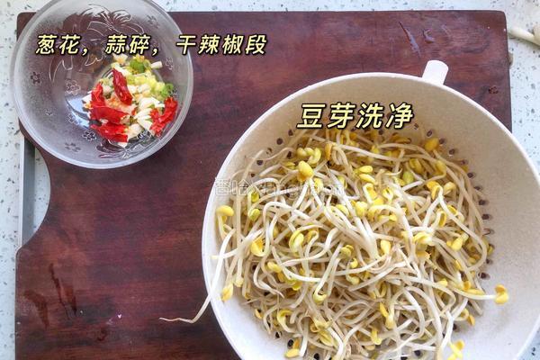 醋溜豆芽的做法图解1