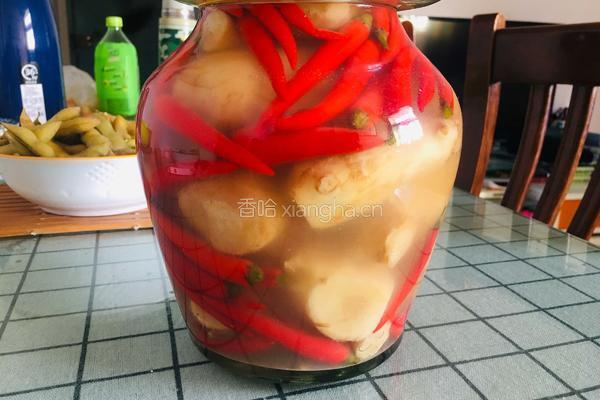 泡仔姜的做法图解9