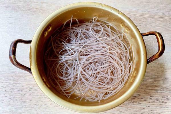 猪肉白菜炖粉条的做法图解2