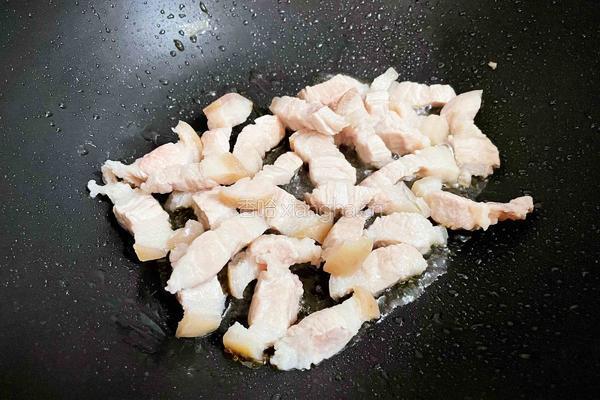 猪肉白菜炖粉条的做法图解7