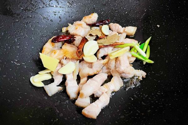 猪肉白菜炖粉条的做法图解8