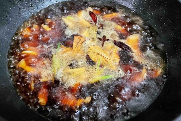 猪肉白菜炖粉条的做法图解14