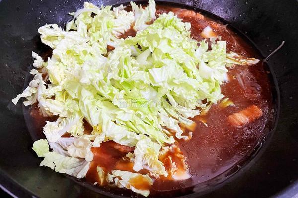 猪肉白菜炖粉条的做法图解16