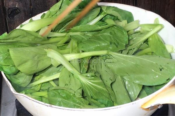 小白菜炒肉丝的做法图解9