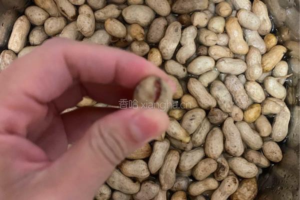 五香卤花生的做法图解3