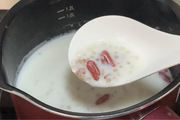 养生牛奶西米粥的做法图解8