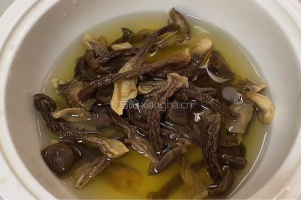 鹿茸菇瘦肉汤的做法图解4