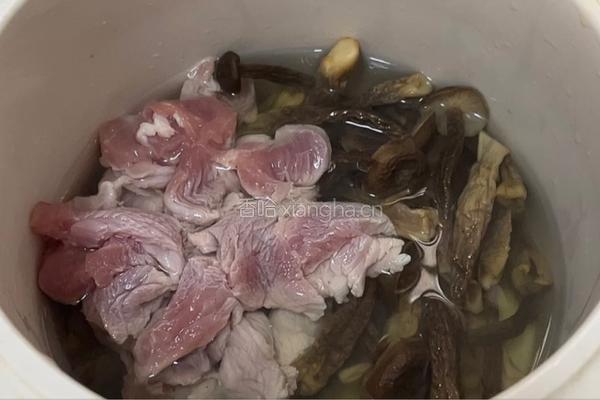 鹿茸菇瘦肉汤的做法图解9