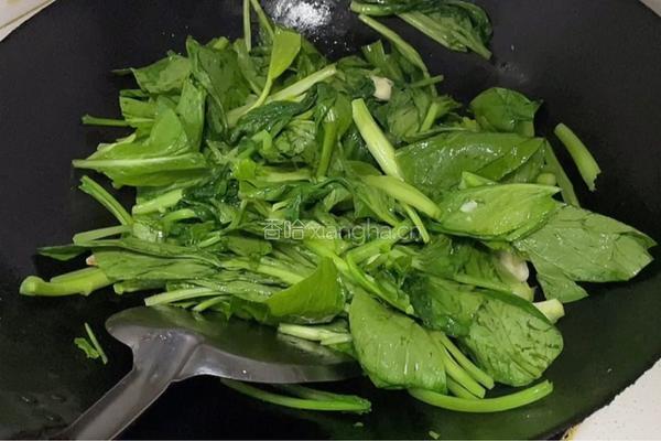 清炒小芥菜的做法图解4