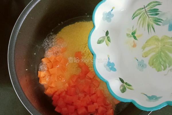鸡肉小米萝卜粥的做法图解6