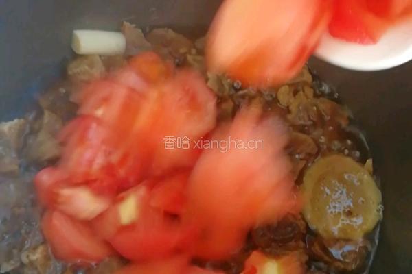 西红柿牛肉的做法图解8