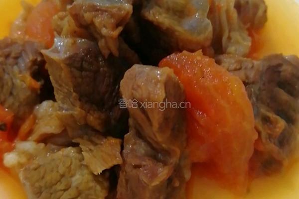 西红柿牛肉的做法图解10