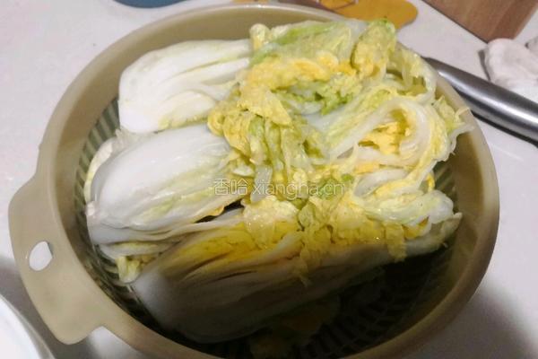 韩国泡菜辣白菜的做法图解2