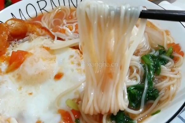 西红柿浓汤面的做法图解10