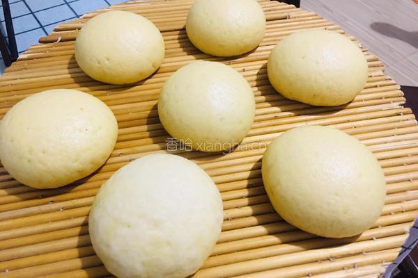 玉米面馒头的做法图解16