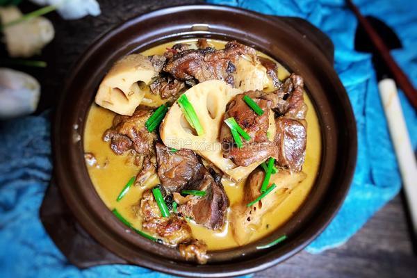 莲藕炖羊肉的做法图解15