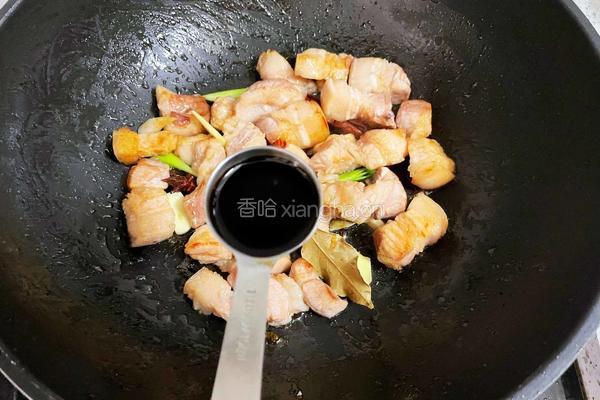 胡萝卜炖肉的做法图解8