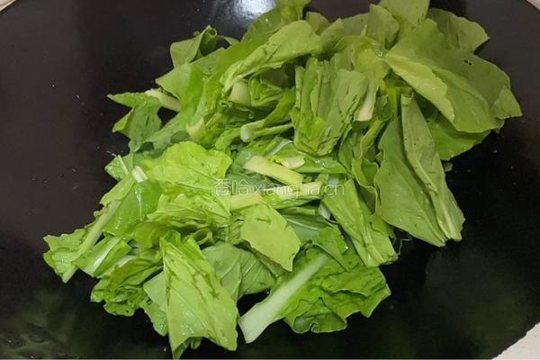 蒜蓉小白菜的做法图解4