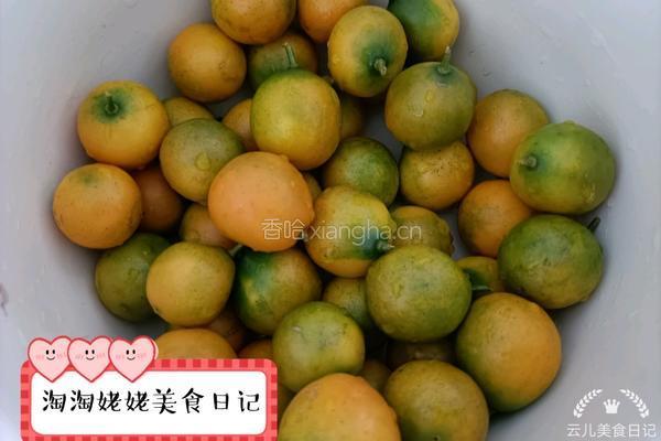 无糖金桔酱的做法图解2