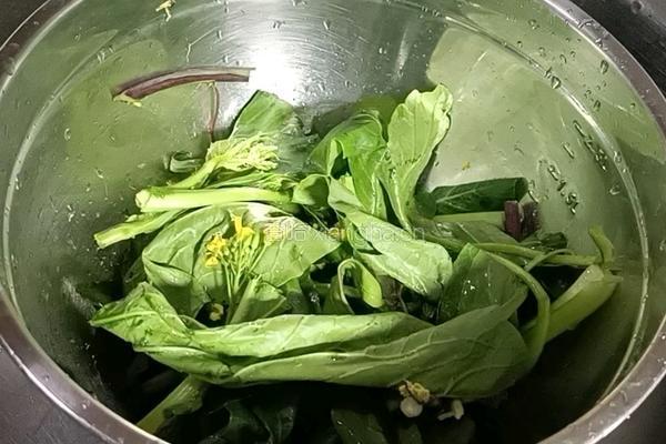 酸辣菜苔的做法图解1