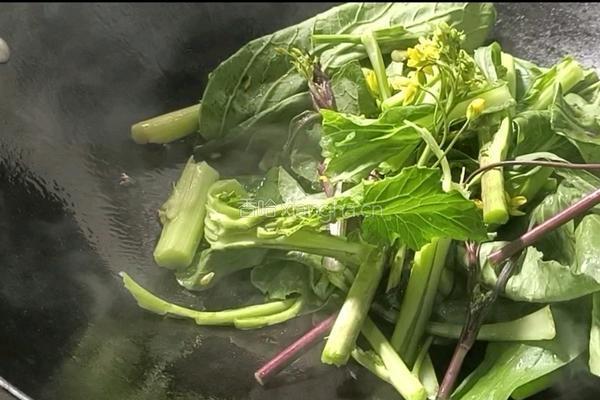 酸辣菜苔的做法图解4
