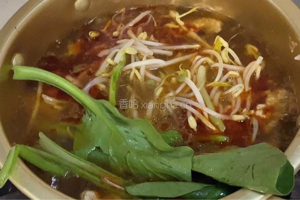 麻辣豆芽肉片的做法图解9