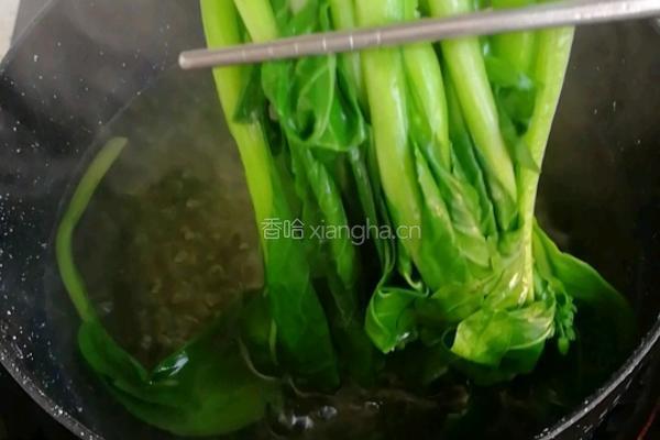 青菜沙拉的做法图解1