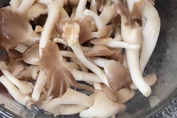 平菇炒鸡蛋的做法图解1