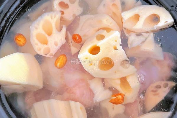 莲藕骨头汤的做法图解4