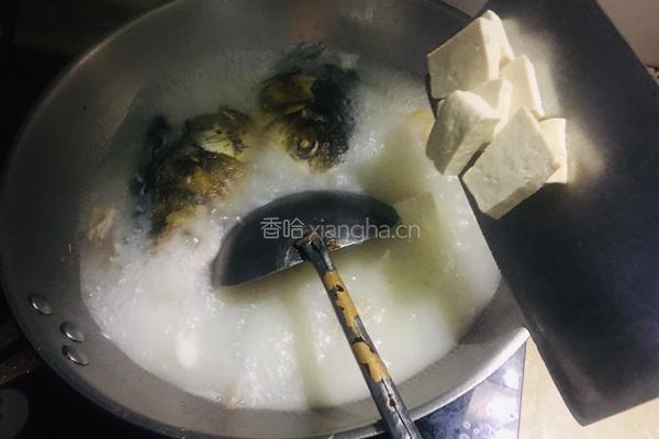 鱼头豆腐汤的做法图解4