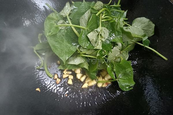 醋溜苕尖的做法图解4
