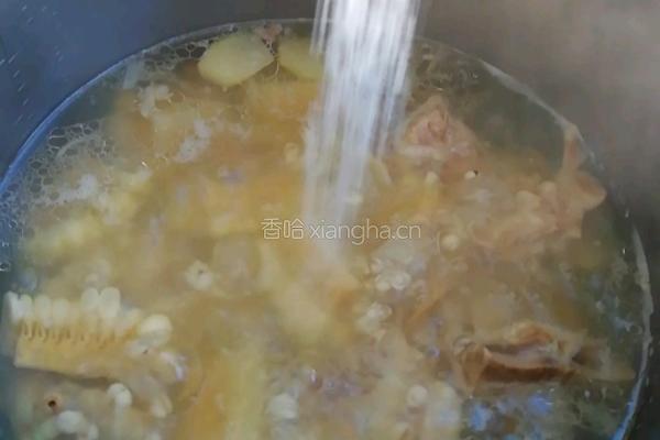 玉米猪骨汤的做法图解5