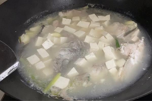 鱼头豆腐汤的做法图解10